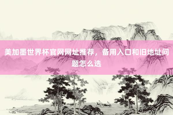 美加墨世界杯官网网址推荐，备用入口和旧地址问题怎么选
