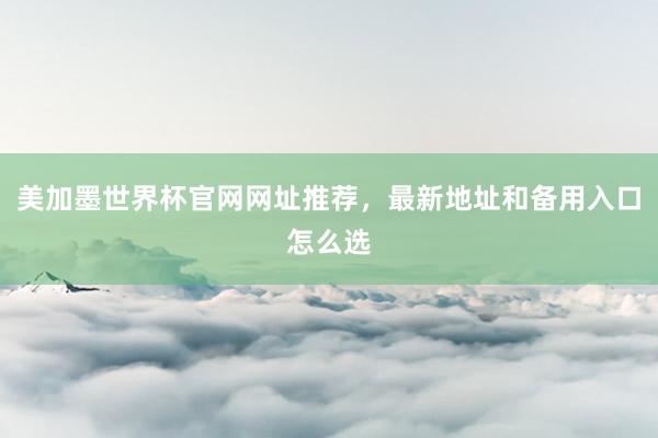 美加墨世界杯官网网址推荐，最新地址和备用入口怎么选